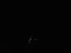 sonnewnd06113_small.jpg
