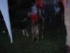 sonnewnd0675_small.jpg