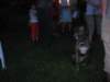 sonnewnd0676_small.jpg