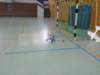 halle281110_small.jpg