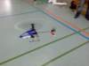 halle281111_small.jpg