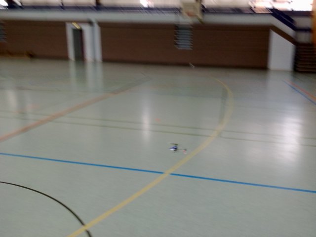halle28119.jpg