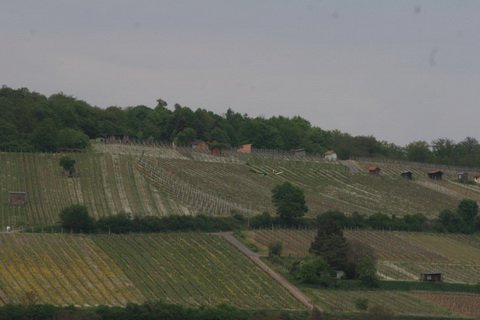 uhuwettbewerb201068.jpg