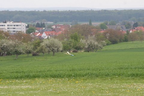 uhuwettbewerb201081.jpg