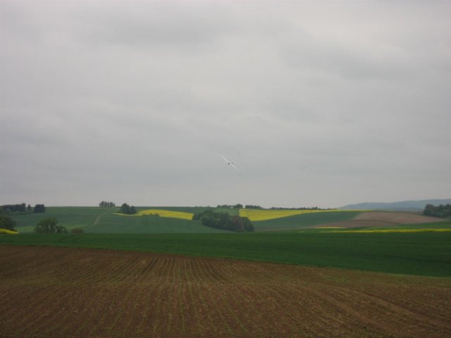 reinheim201036.jpg