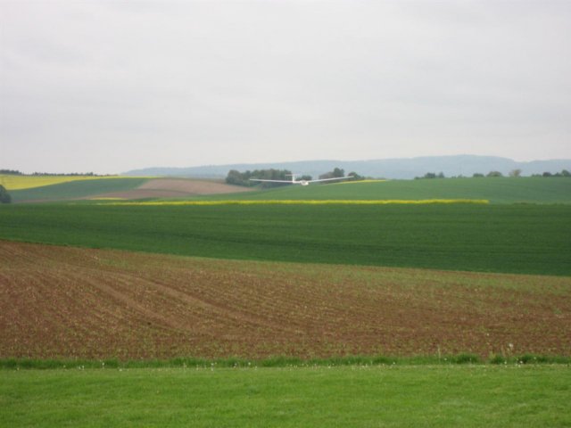 reinheim201038.jpg
