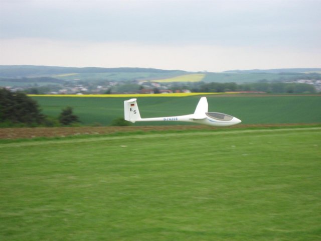 reinheim201041.jpg