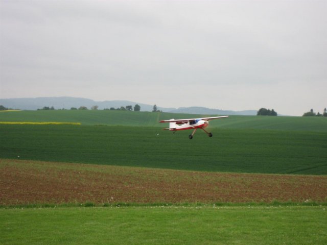 reinheim201042.jpg