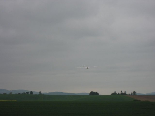 reinheim20105.jpg