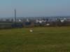 p1000804_800x600_small.jpg