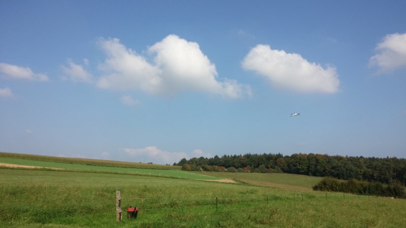 falconaufmodellfluplatzbrombachtal3.jpg