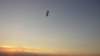gleitschirmabendsonne2_small.jpg