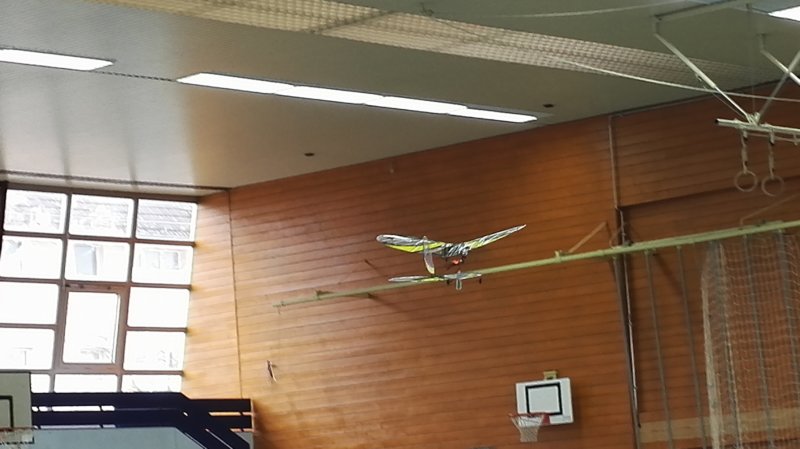 hallenflugwochenende3031januar20162.jpg