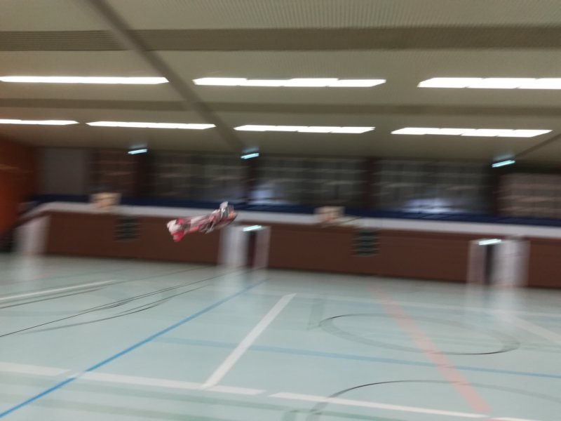 letztehallenfliegen20182.jpg