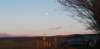 moonrise15022022_small.jpg