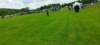 tagdessport1305202310_small.jpg