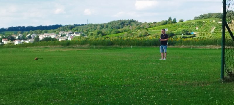 photo2.jpg