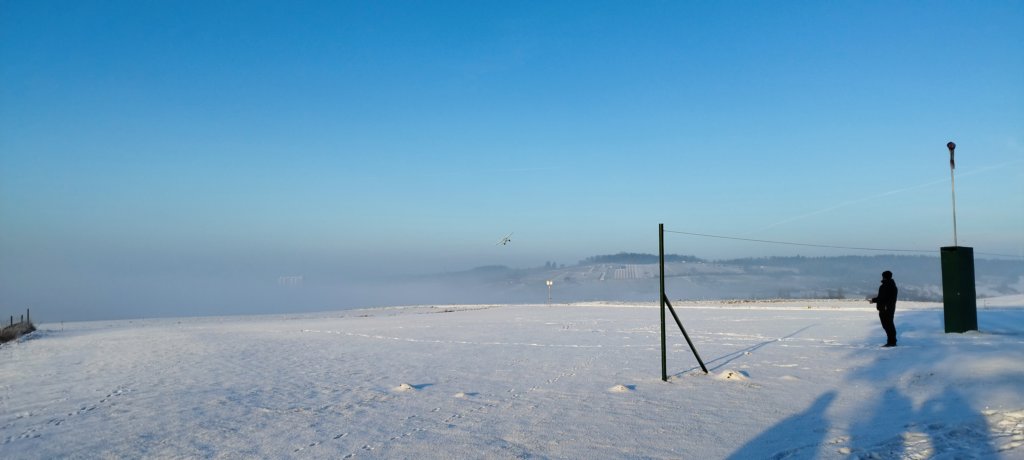 schneefliegen200420249.jpg