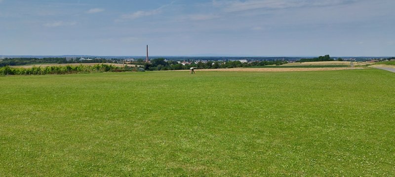 sommerfestlsv19072024.jpg