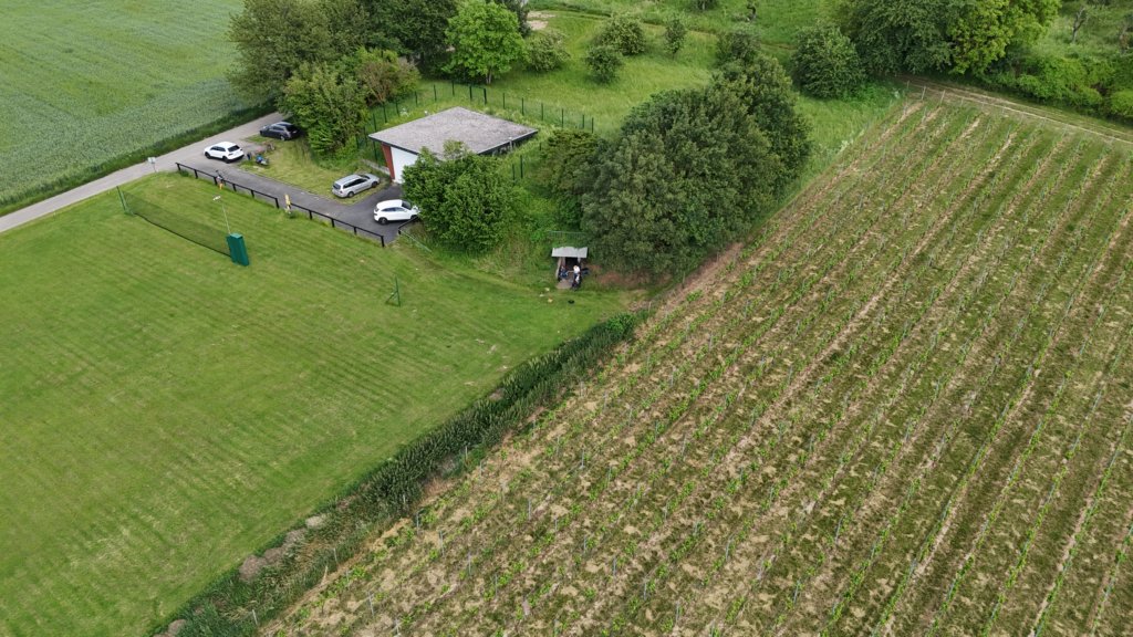 eselberg1106246.jpg