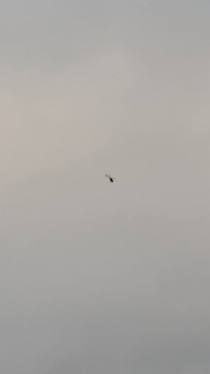 photo20.jpg