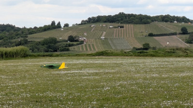 photo.jpg